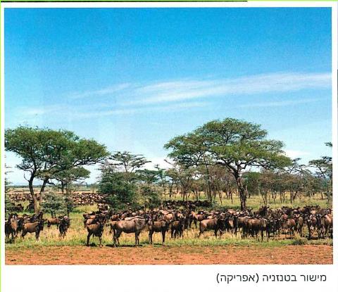 - מישור בטנזניה (אפריקה)